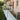 AOL-R_gelaender