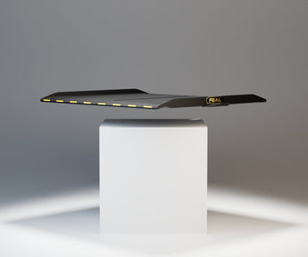 Carbon-Rampe