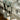 RS_AOL-R_1536FuD45ceQWyJZ